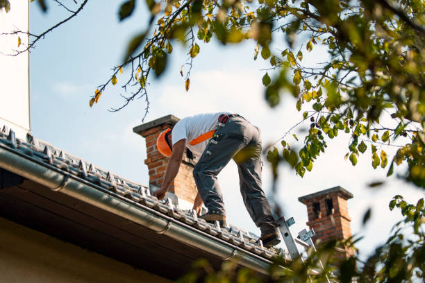 Professional Roofing Services in Mills River, NC