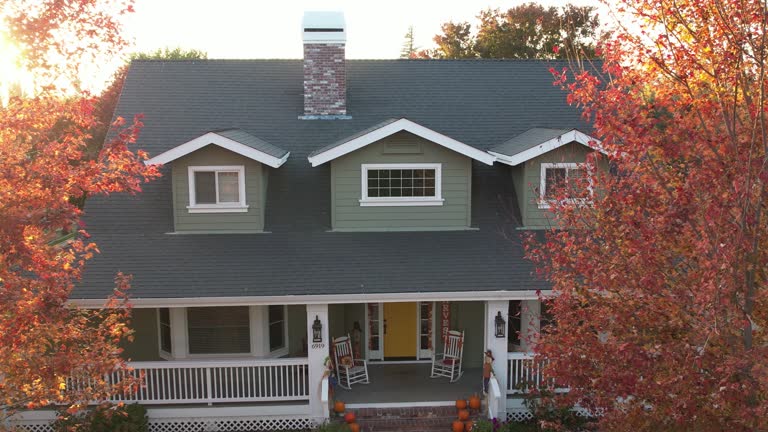 Best Skylight Installation and Repair  in Mills River, NC