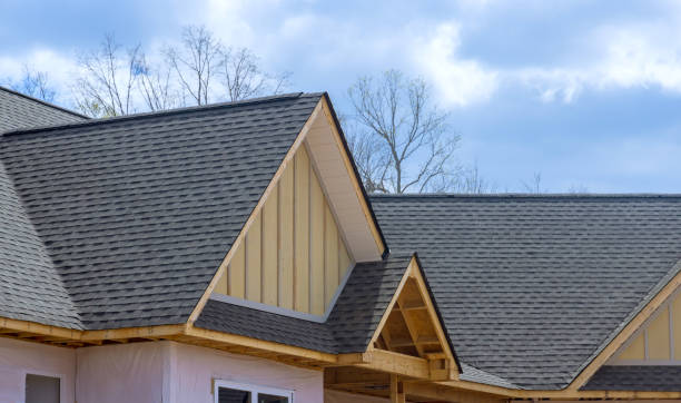 Best Roof Insulation Installation  in Mills River, NC