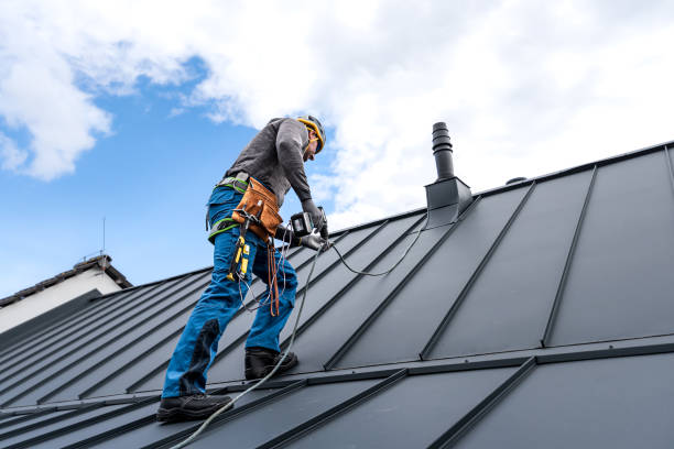Best Emergency Roof Repair Services  in Mills River, NC